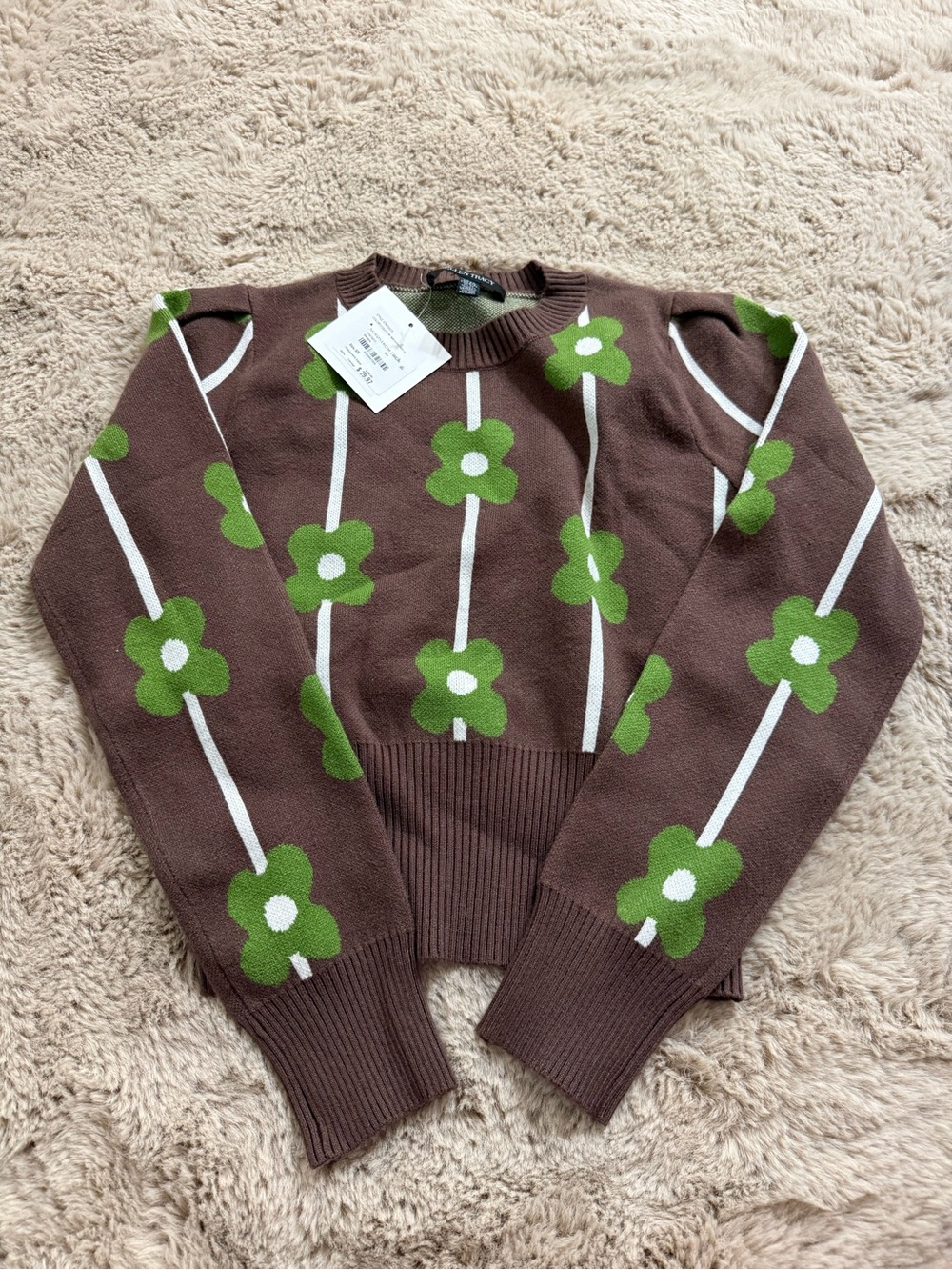 Ellen Tracy Brown Crewneck Sweater with Green Floral Stripes